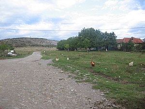 betfia_2013__001.JPG betfia_2013__001.JPG