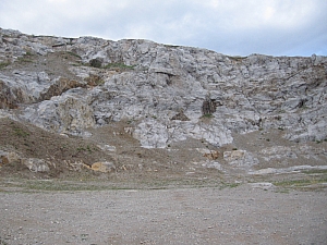 betfia_2013__010.JPG betfia_2013__010.JPG