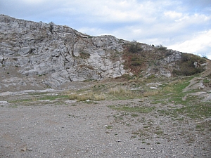 betfia_2013__011.JPG betfia_2013__011.JPG