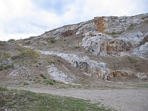 betfia_2013__012.JPG betfia_2013__012.JPG