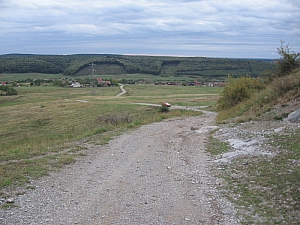 betfia_2013__013.JPG betfia_2013__013.JPG