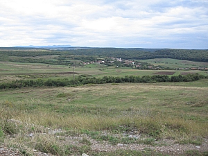 betfia_2013__014.JPG betfia_2013__014.JPG