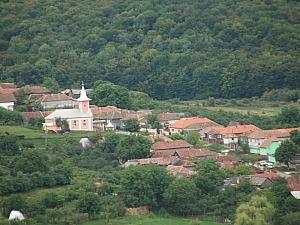 betfia_2013__016.JPG betfia_2013__016.JPG