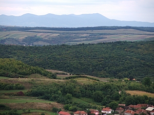 betfia_2013__019.JPG betfia_2013__019.JPG