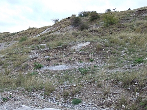 betfia_2013__023.JPG betfia_2013__023.JPG
