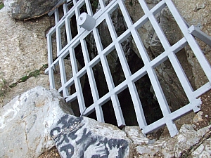 betfia_2013__033.JPG betfia_2013__033.JPG