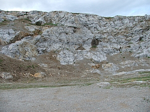 betfia_2013__036.JPG betfia_2013__036.JPG