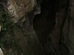 betfia_2013__047.JPG betfia_2013__047.JPG