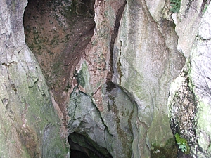 betfia_2013__050.JPG betfia_2013__050.JPG