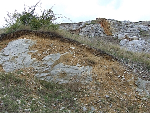 betfia_2013__052.JPG betfia_2013__052.JPG