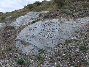 betfia_2013__053.JPG betfia_2013__053.JPG