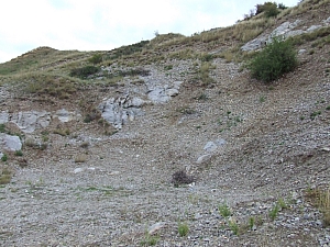 betfia_2013__054.JPG betfia_2013__054.JPG