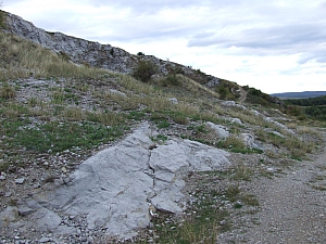betfia_2013__056.JPG betfia_2013__056.JPG