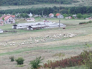 betfia_2013__060.JPG betfia_2013__060.JPG