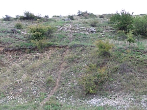 betfia_2013__062.JPG betfia_2013__062.JPG