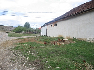 betfia_2013__072.JPG betfia_2013__072.JPG