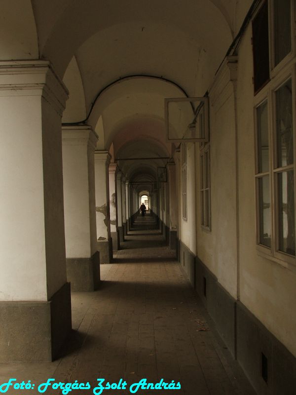 2013_nagyvarad_kanonok_sor__001.JPG