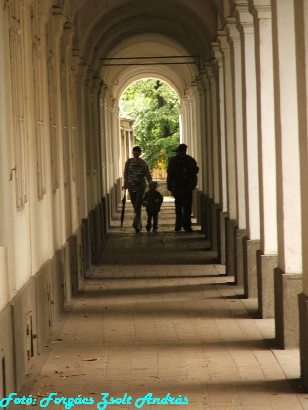 2013_nagyvarad_kanonok_sor__002.JPG