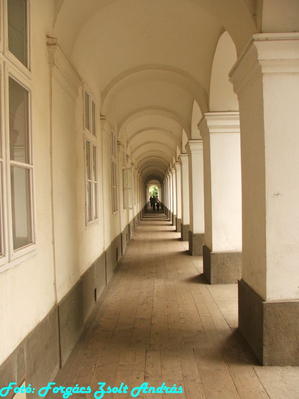 2013_nagyvarad_kanonok_sor__003.JPG