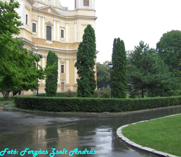 2013_szent_laszlo_bazilika_korul__007.JPG