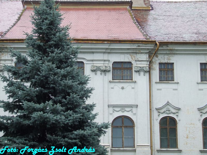 2013_szent_laszlo_bazilika_korul__009.JPG