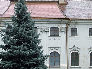 2013_szent_laszlo_bazilika_korul__009.JPG 2013_szent_laszlo_bazilika_korul__009.JPG