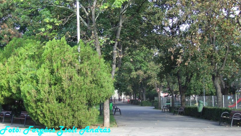 december_1_park__001.JPG