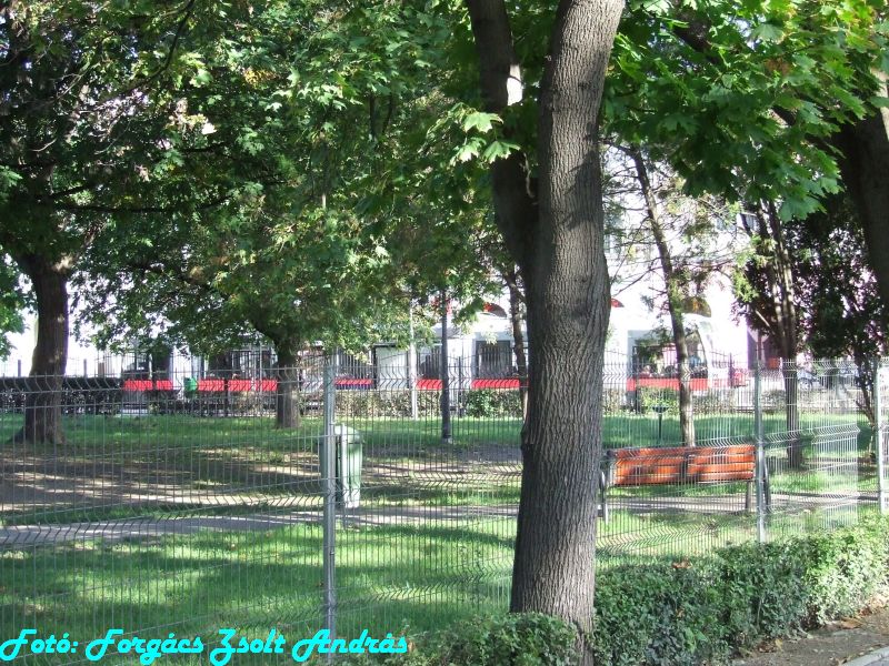 december_1_park__003.JPG