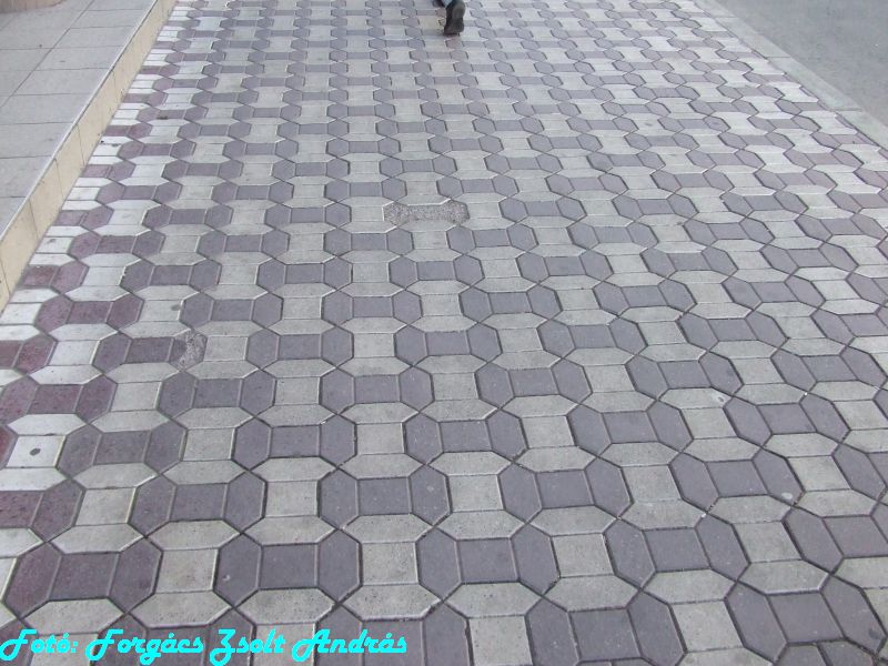 december_1_park__009.JPG