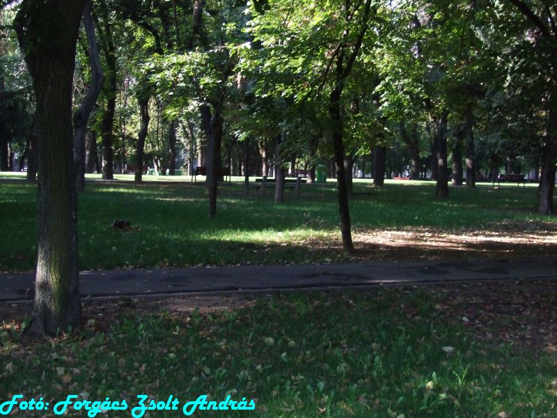 december_1_park__010.JPG
