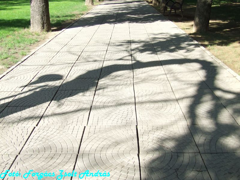 december_1_park__012.JPG