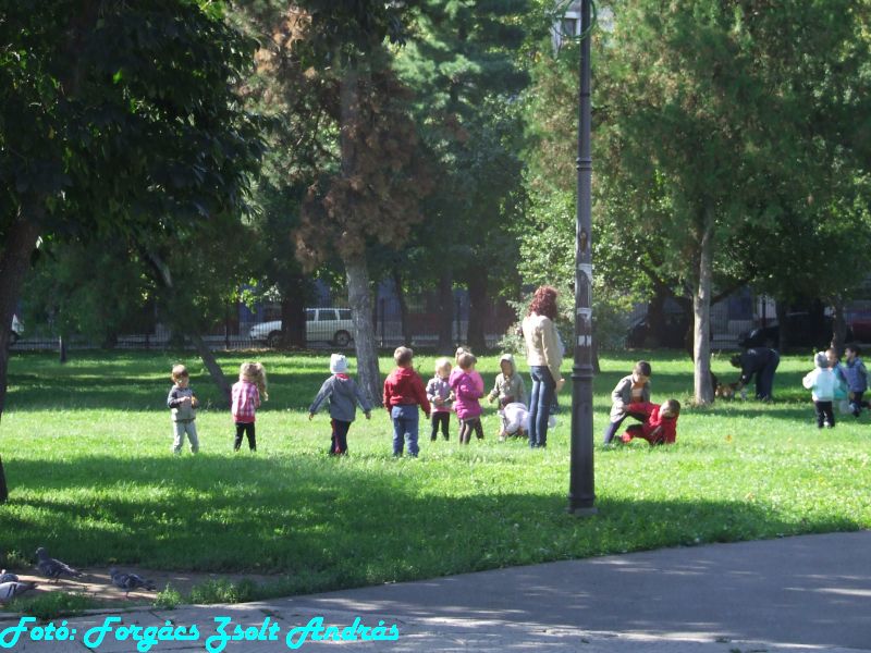 december_1_park__013.JPG