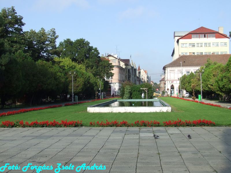 december_1_park__014.JPG