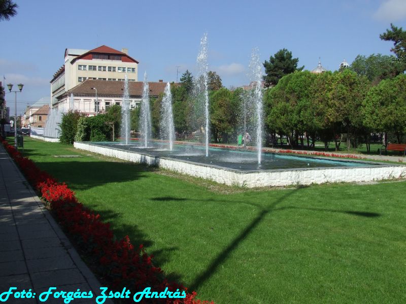 december_1_park__016.JPG