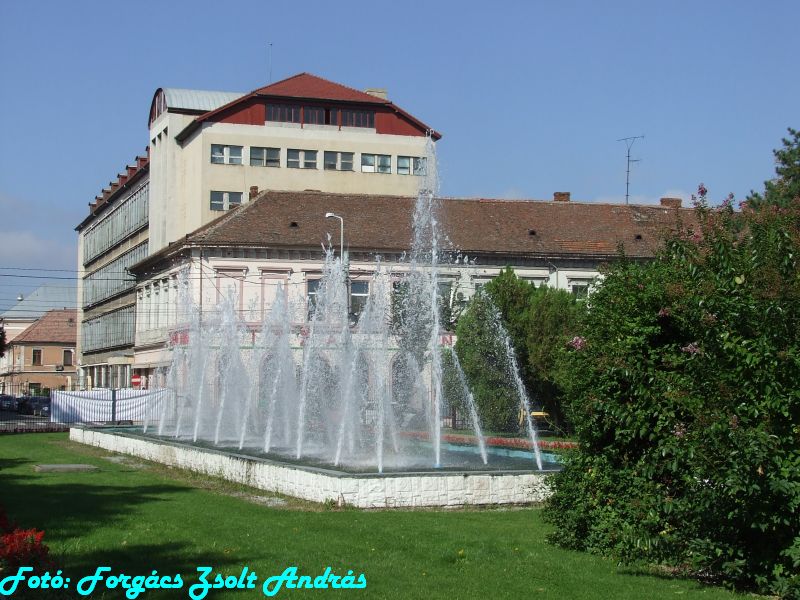 december_1_park__018.JPG