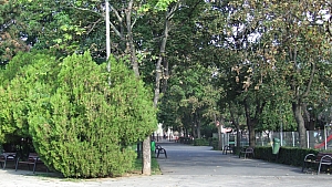 december_1_park__001.JPG