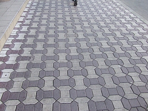 december_1_park__009.JPG