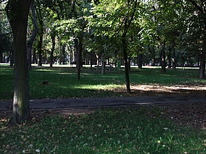 december_1_park__010.JPG