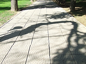 december_1_park__012.JPG