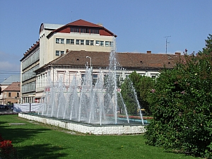 december_1_park__018.JPG
