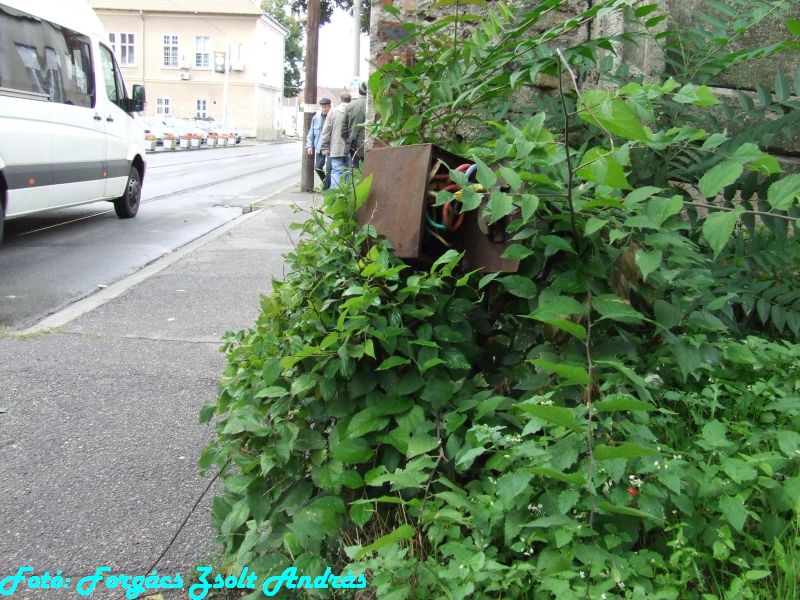 2013_nagyvarad__110.JPG