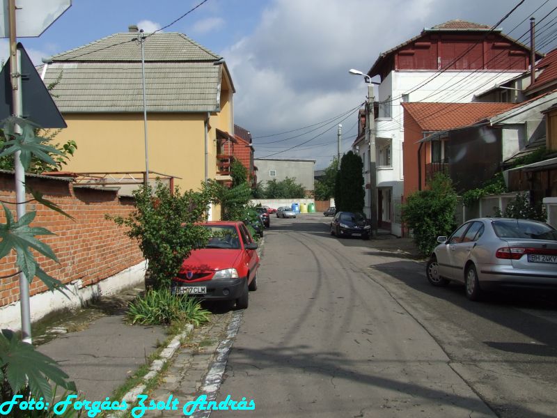 2013_nagyvarad__123.JPG