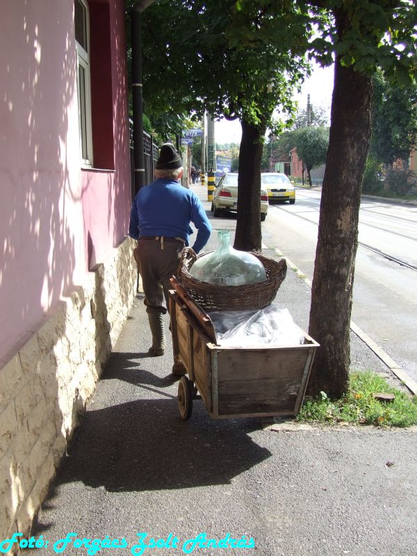 2013_nagyvarad__126.JPG