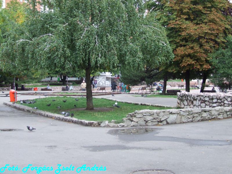 2013_nagyvarad__153.JPG