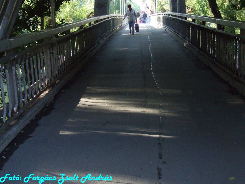 2013_nagyvarad__168.JPG