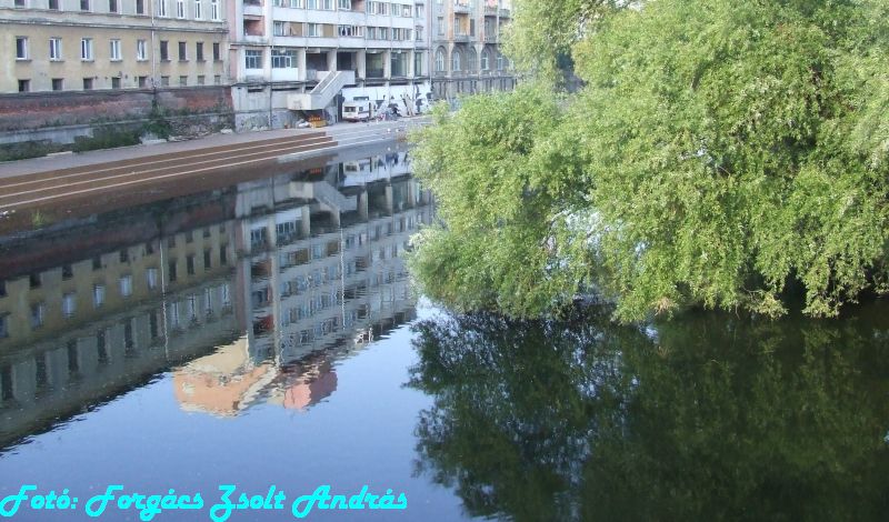 2013_nagyvarad__170.JPG