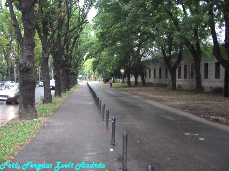 2013_nagyvarad__277.JPG