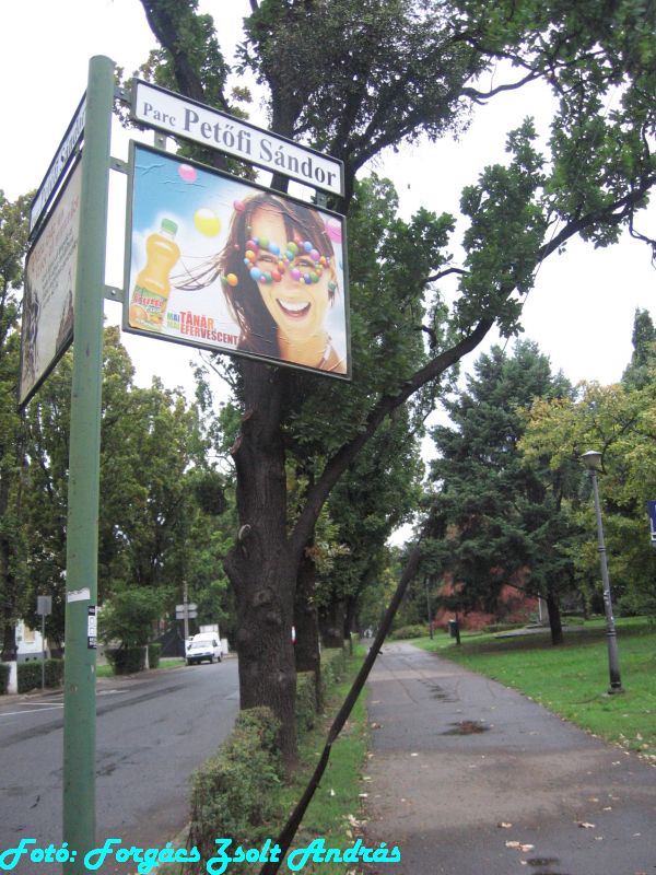 2013_nagyvarad__278.JPG