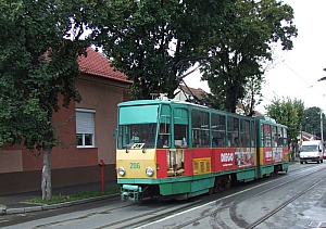 2013_nagyvarad__128.JPG 2013_nagyvarad__128.JPG