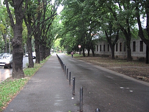 2013_nagyvarad__277.JPG 2013_nagyvarad__277.JPG